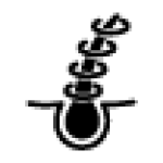Icons_Biotin 1000 xmart-1